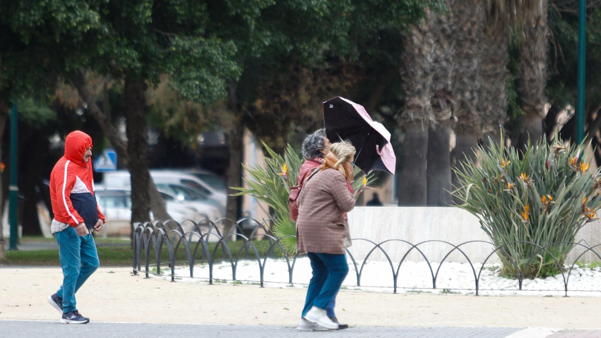 Malaga registers second highest minimum January temperature on record Sur in English